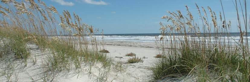 Cumberland Island National Seashore