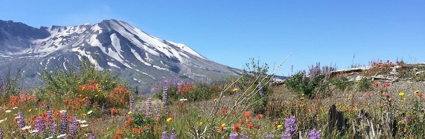 Mount St. Helens National Volcanic Monument