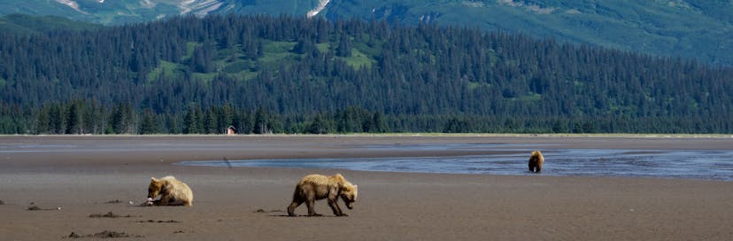 Lake Clark National Park and Preserve