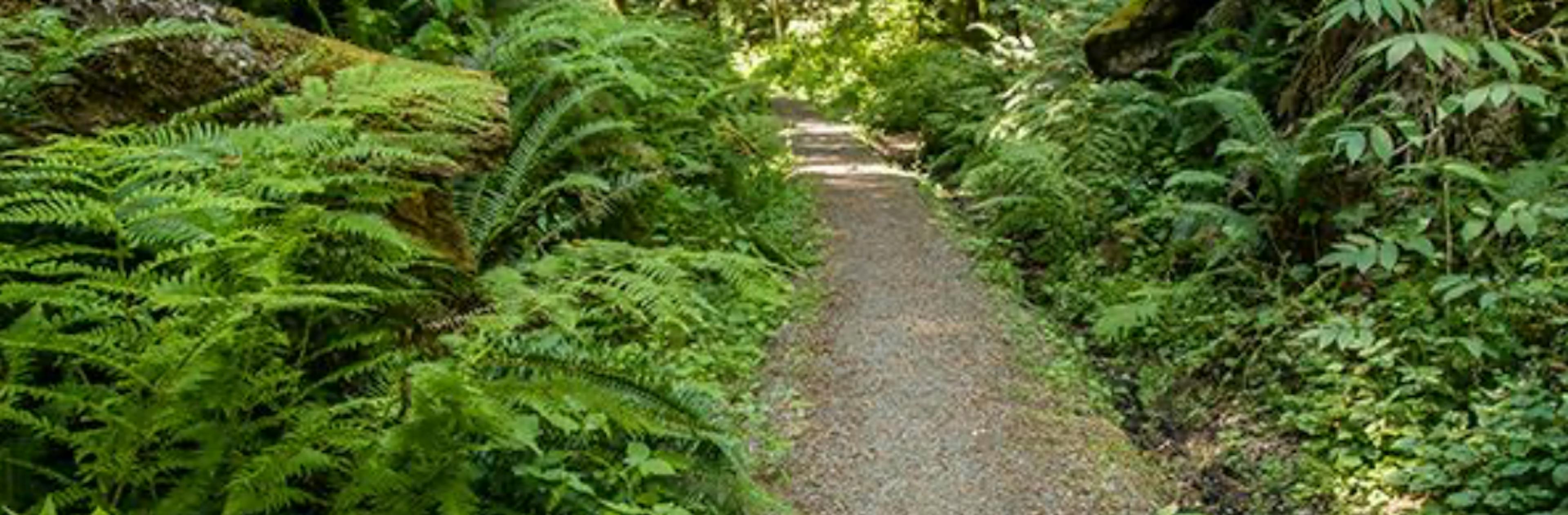 Park cover