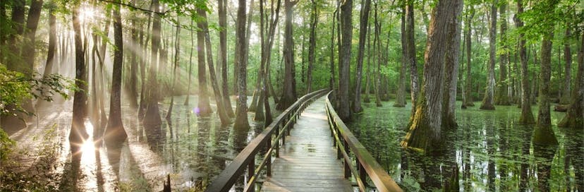 Natchez Trace National Scenic Trail