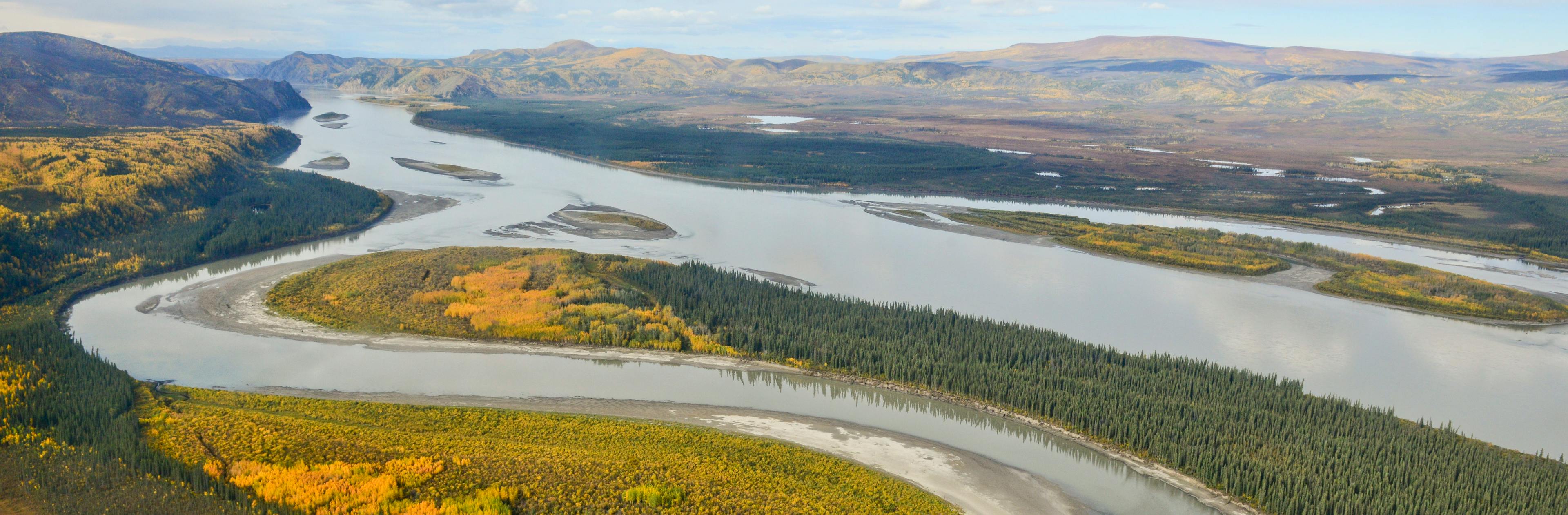 Park cover