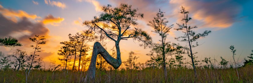 Everglades National Park