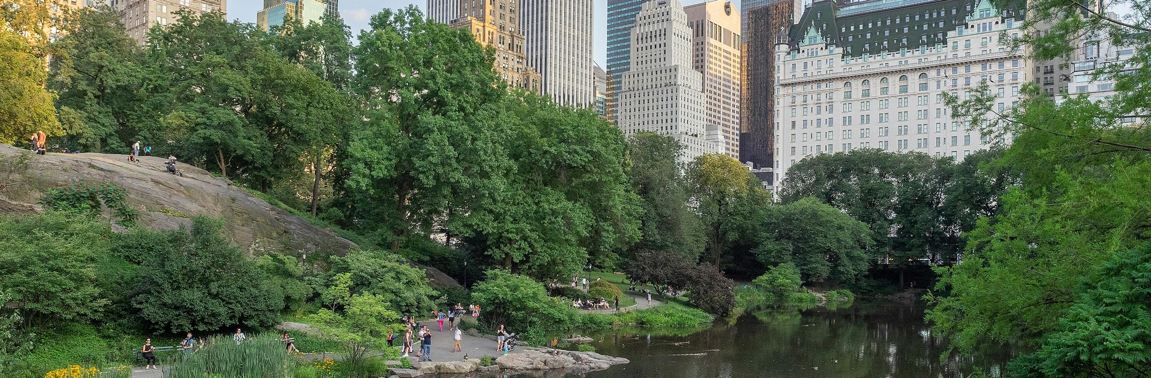 Park cover