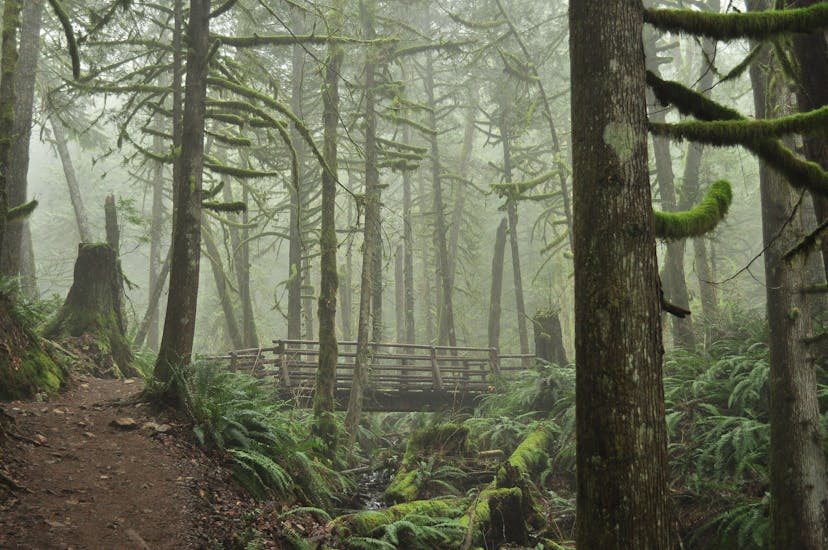 Wallace Falls State Park