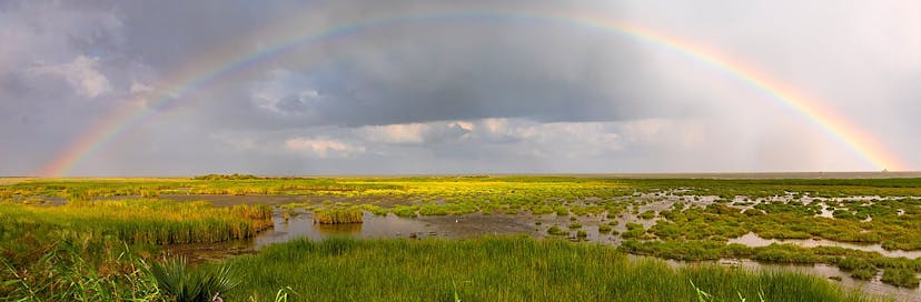 Aransas National Wildlife Refuge