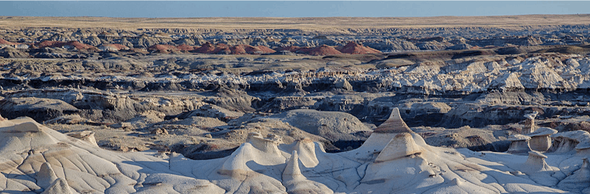  Bisti/De-Na-Zin Wilderness