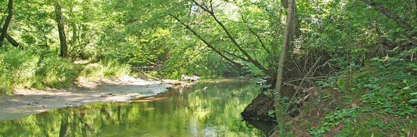 Cumberland State Forest