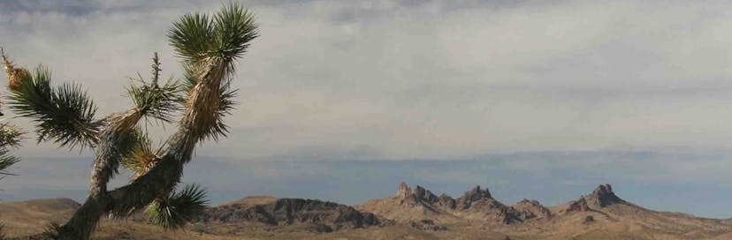 Castle Mountains National Monument