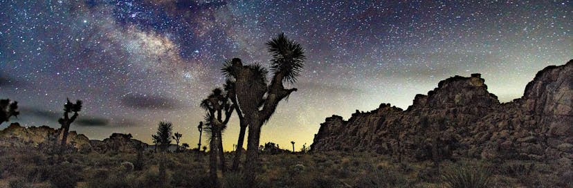 Joshua Tree National Park