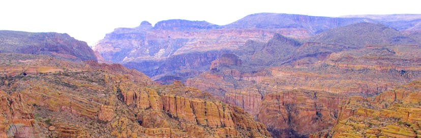 Tonto National Forest