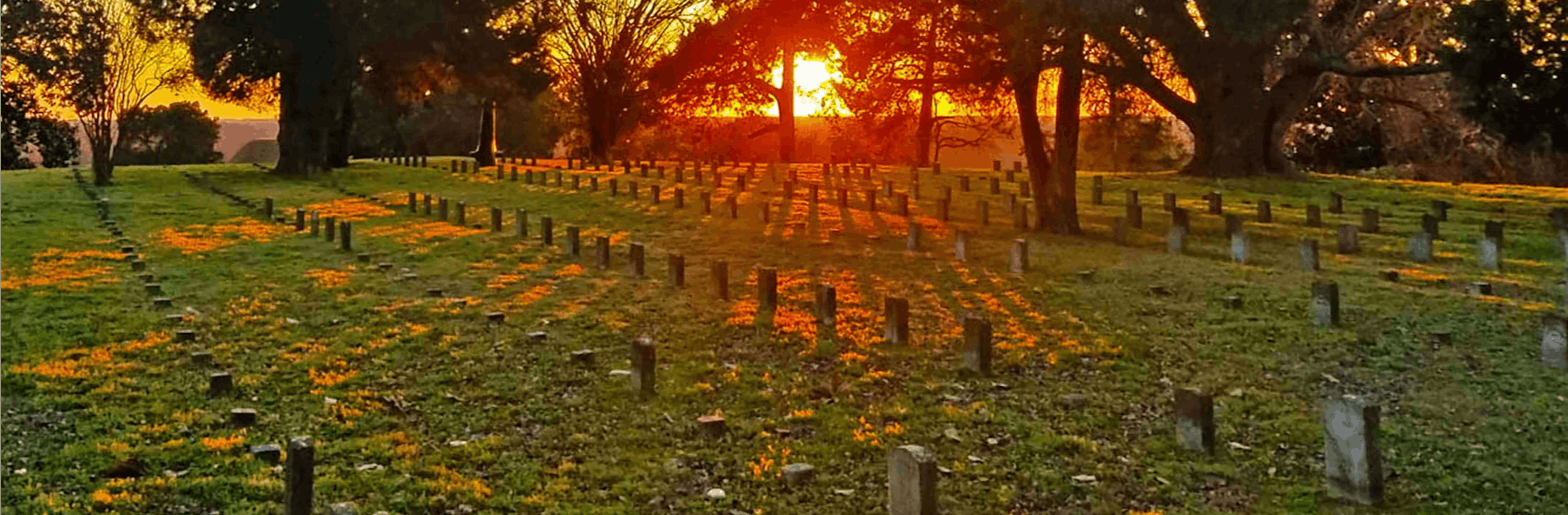 Park cover