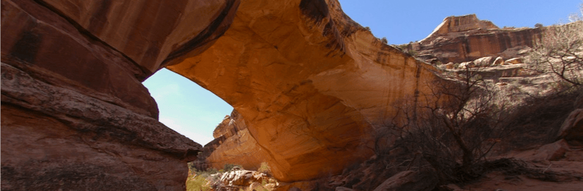 Natural Bridges National Monument