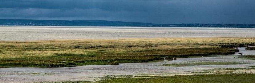 Nationalpark Neusiedler See – Seewinkel