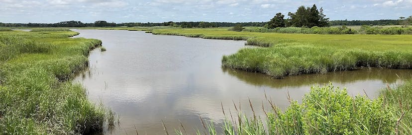 Great Egg Harbor National Scenic and Recreational River