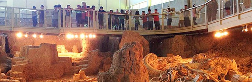 Waco Mammoth National Monument