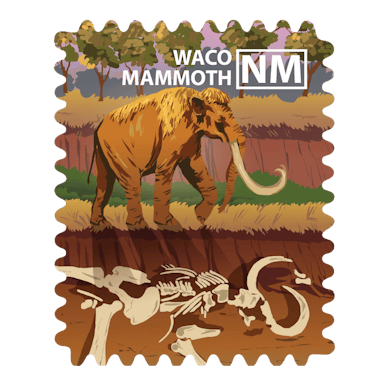 Waco Mammoth National Monument
