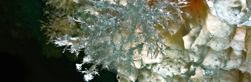 Jewel Cave National Monument