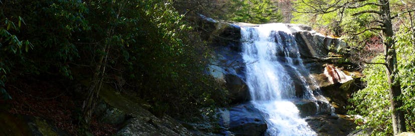 Pisgah National Forest