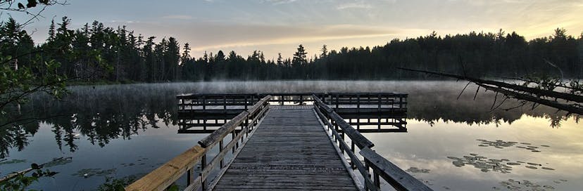 Hartwick Pines State Park
