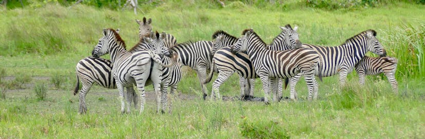 iSimangaliso Wetland Park