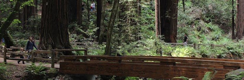 Muir Woods National Monument