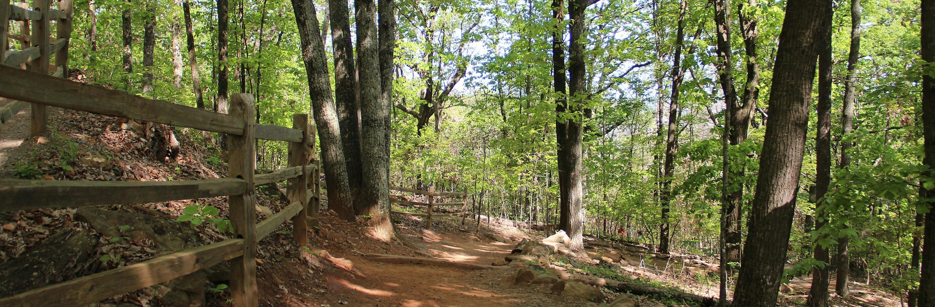 Park cover