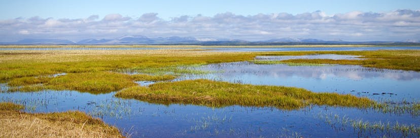 Cape Krusenstern National Monument