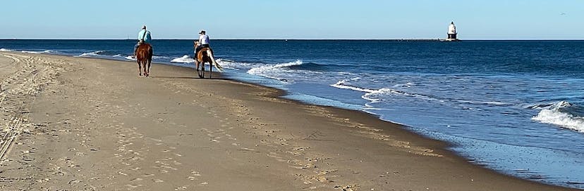 Cape Henlopen State Park
