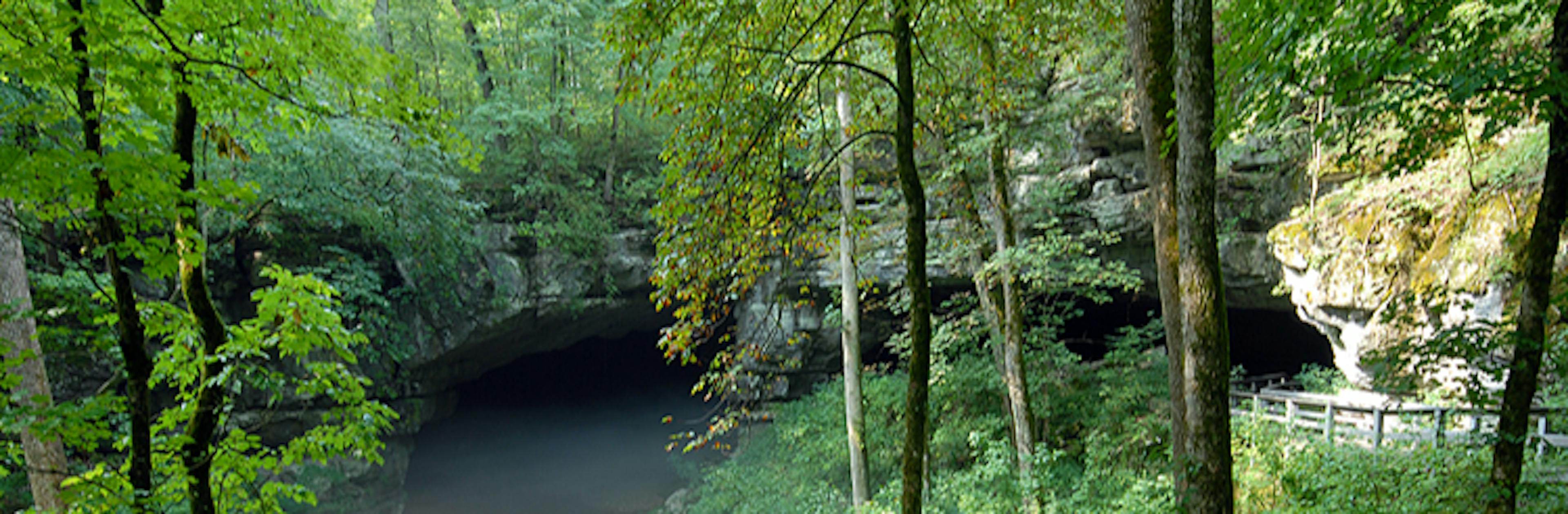 Park cover