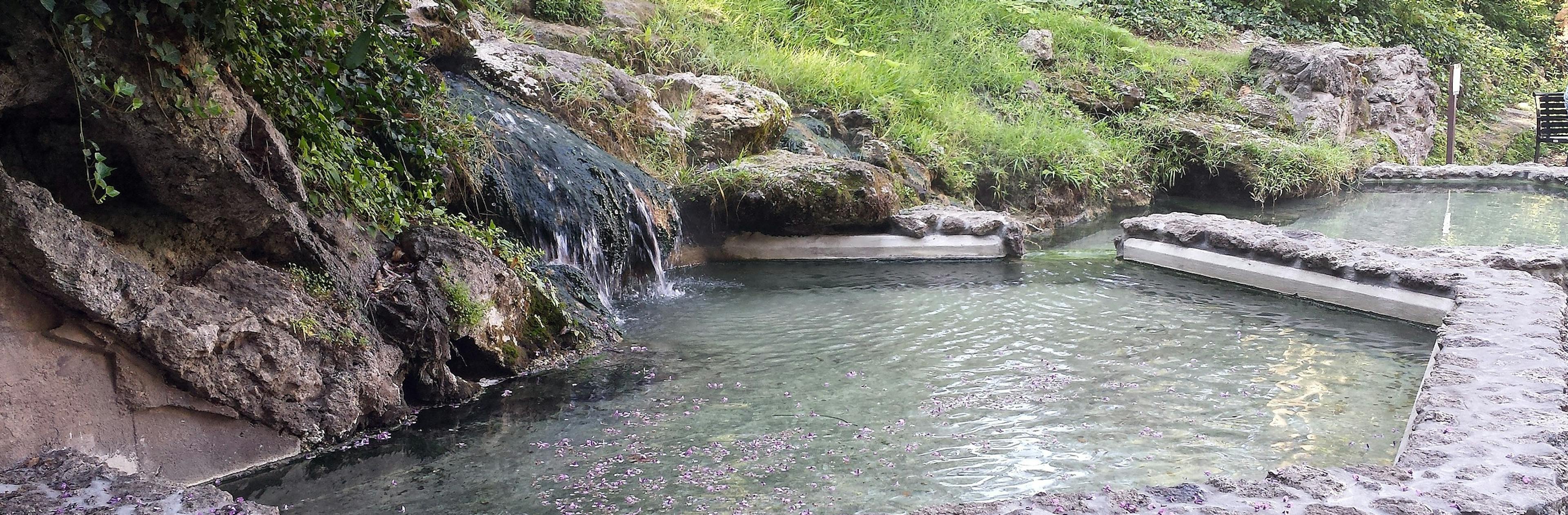 Park cover