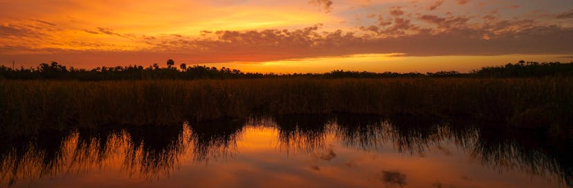 Big Cypress National Preserve