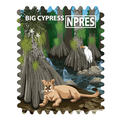 Big Cypress National Preserve