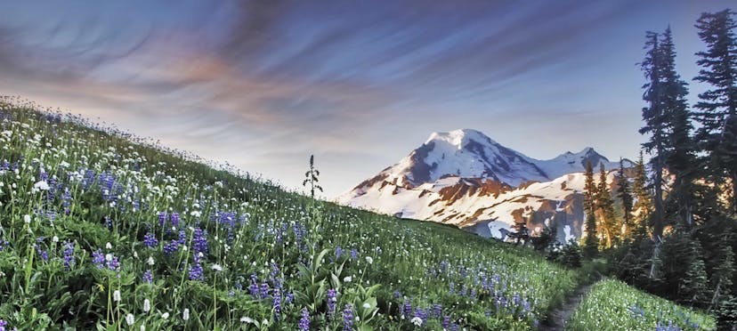 Mount Baker-Snoqualmie National Forest