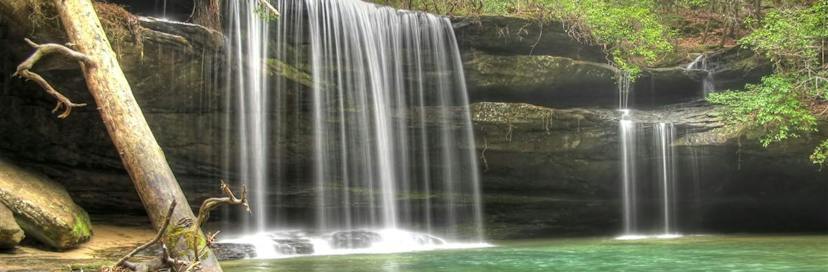 William B. Bankhead National Forest